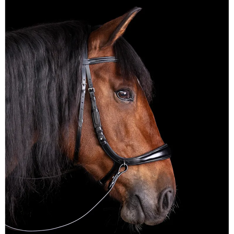 Schockemohle Equitus Theta 3-in-1 Bridle - Black/Silver-1