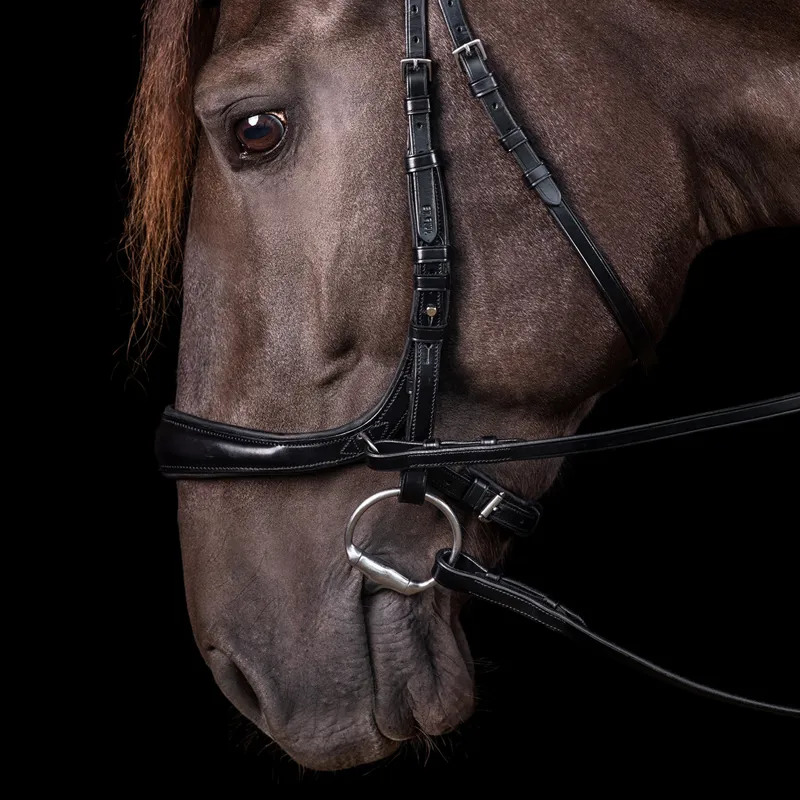 Schockemohle Equitus Theta 3-in-1 Bridle - Black/Silver-2