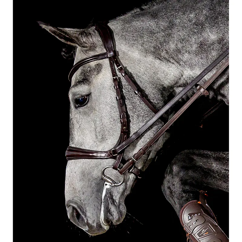 Schockemohle Equitus Theta 3-in-1 Bridle - Espresso/Silver-1
