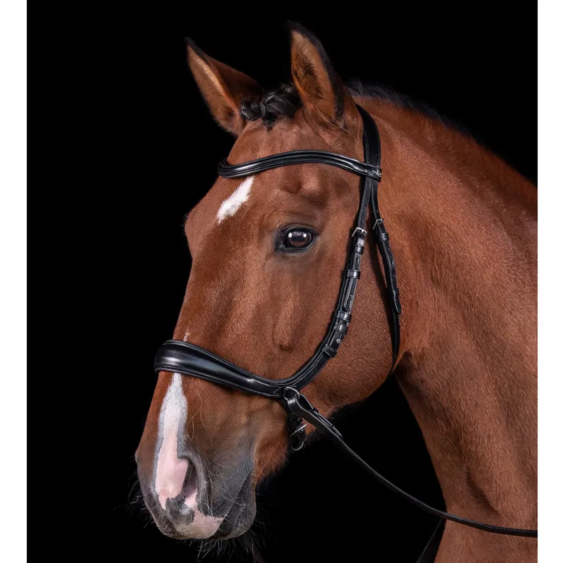 Schockemohle Equitus Theta 3-in-1 Bridle - Espresso/Silver-2