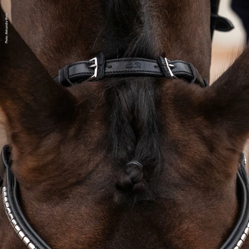 Schockemohle Equitus Rho Anatomic Headpiece - Espresso/Silver-1