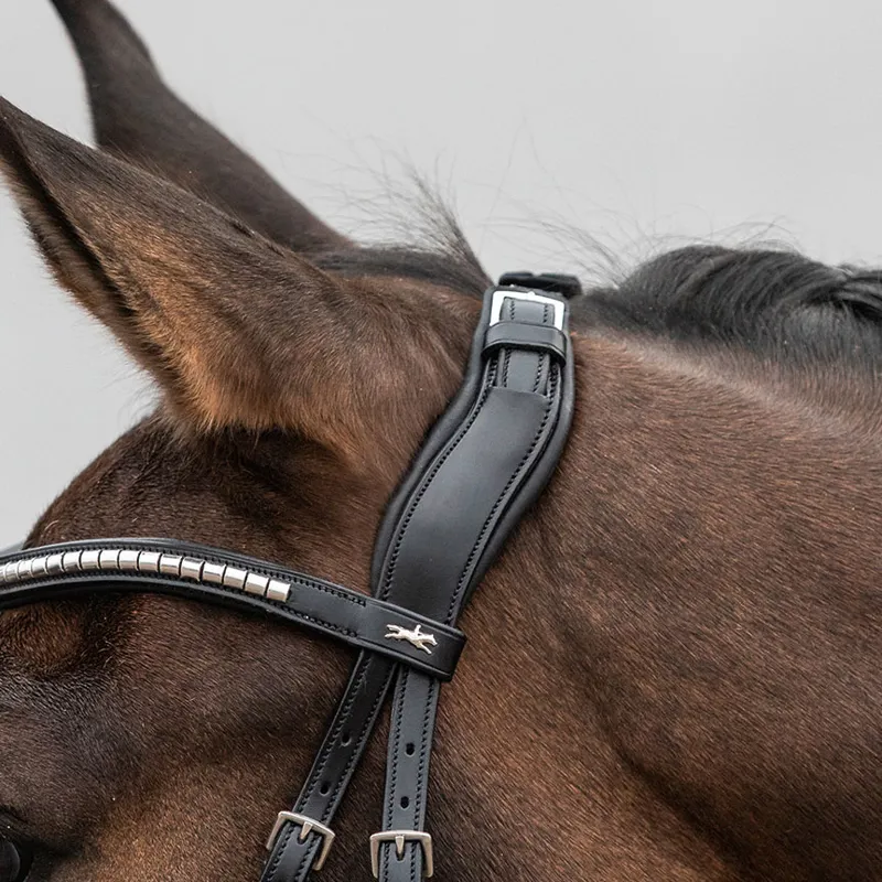 Schockemohle Equitus Rho Anatomic Headpiece - Black-2