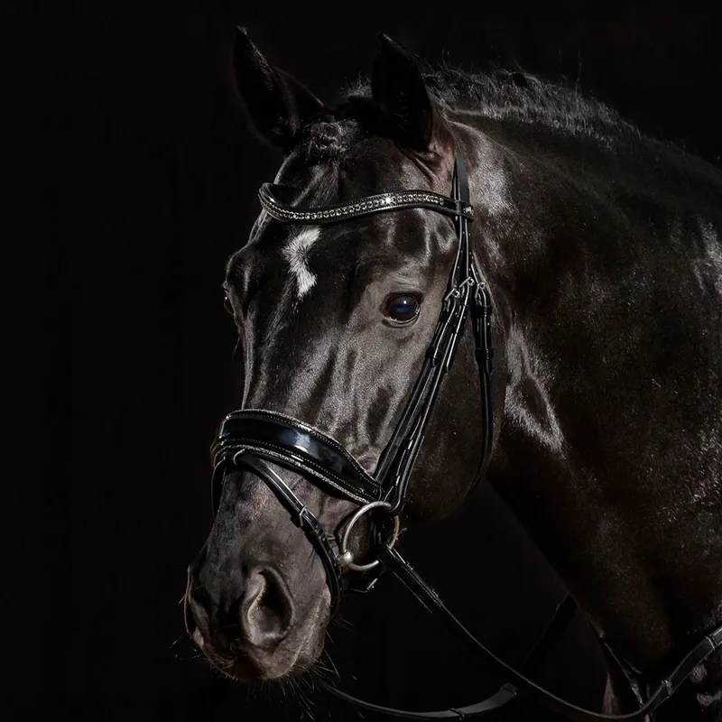 Schockemohle Stanford Glam Flash Bridle - Patent Black-2