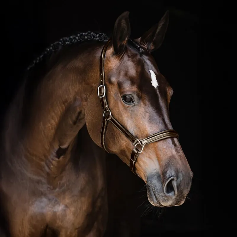 Schockemohle Ulm Pro Leather Headcollar - Brown/Silver-1
