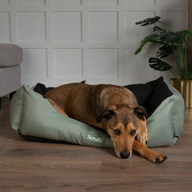 Scruffs Expedition Dog Box Bed - Khaki Green-1