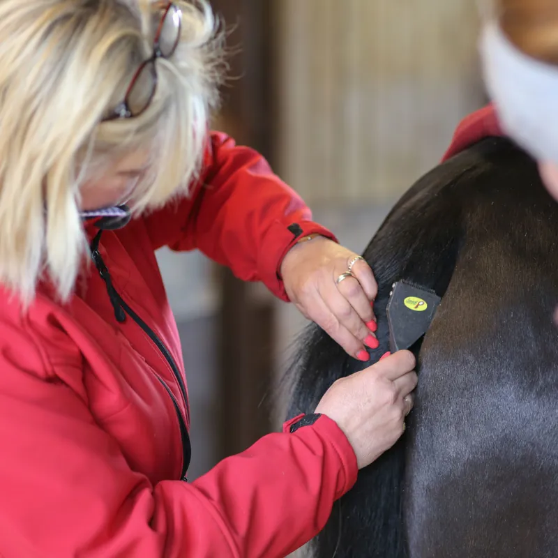 Smart Grooming Smart Tails Standard Rake-1