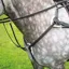 Shires Salisbury Five Point Breastplate - Black