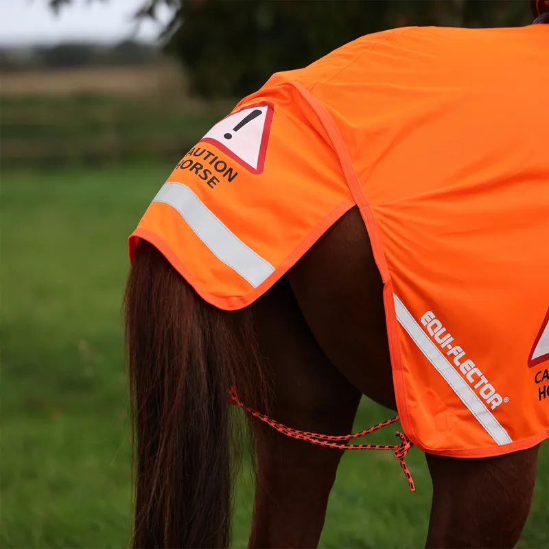 EQUI-FLECTOR Mesh Exercise Sheet - Orange-3