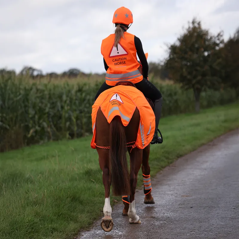 EQUI-FLECTOR Mesh Exercise Sheet - Orange-4
