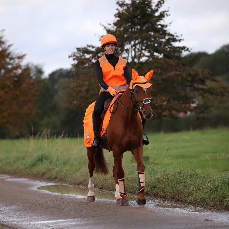 EQUI-FLECTOR Mesh Exercise Sheet - Orange-7