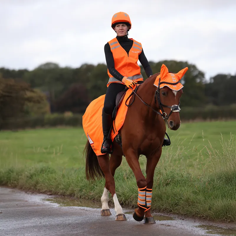 EQUI-FLECTOR Mesh Exercise Sheet - Orange-2