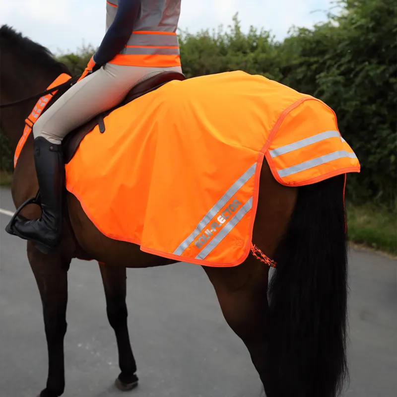 EQUI-FLECTOR Mesh Exercise Sheet - Orange-1