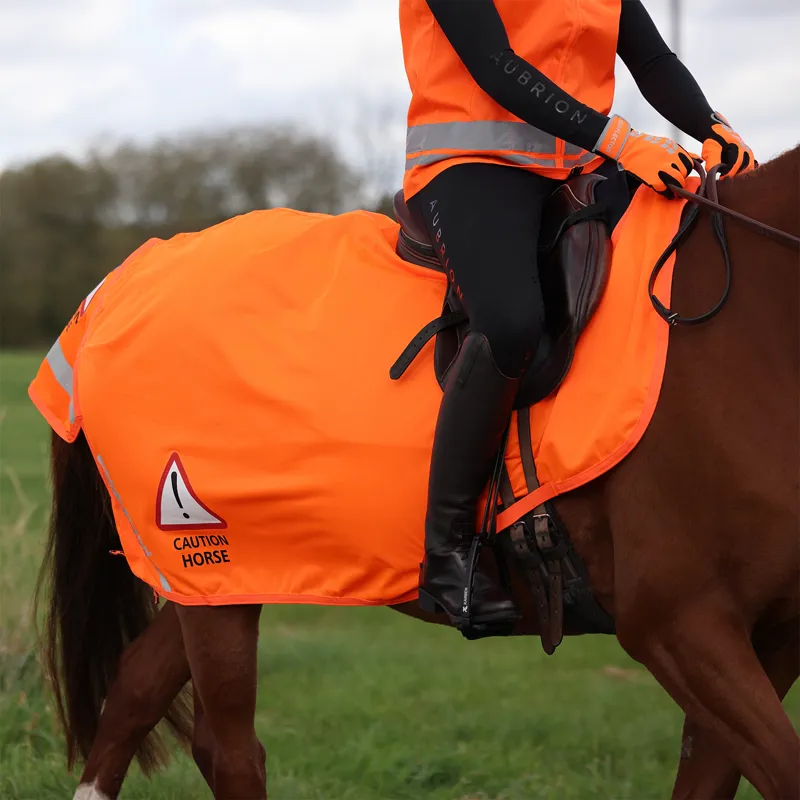 EQUI-FLECTOR Mesh Exercise Sheet - Orange