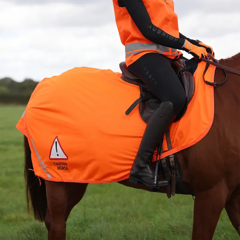 EQUI-FLECTOR Mesh Exercise Sheet - Orange-5