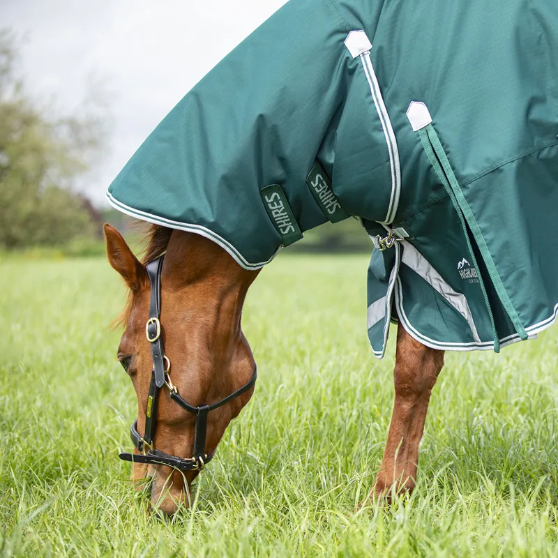 Shires Highlander Original 300g Combo Turnout Rug - Green-6