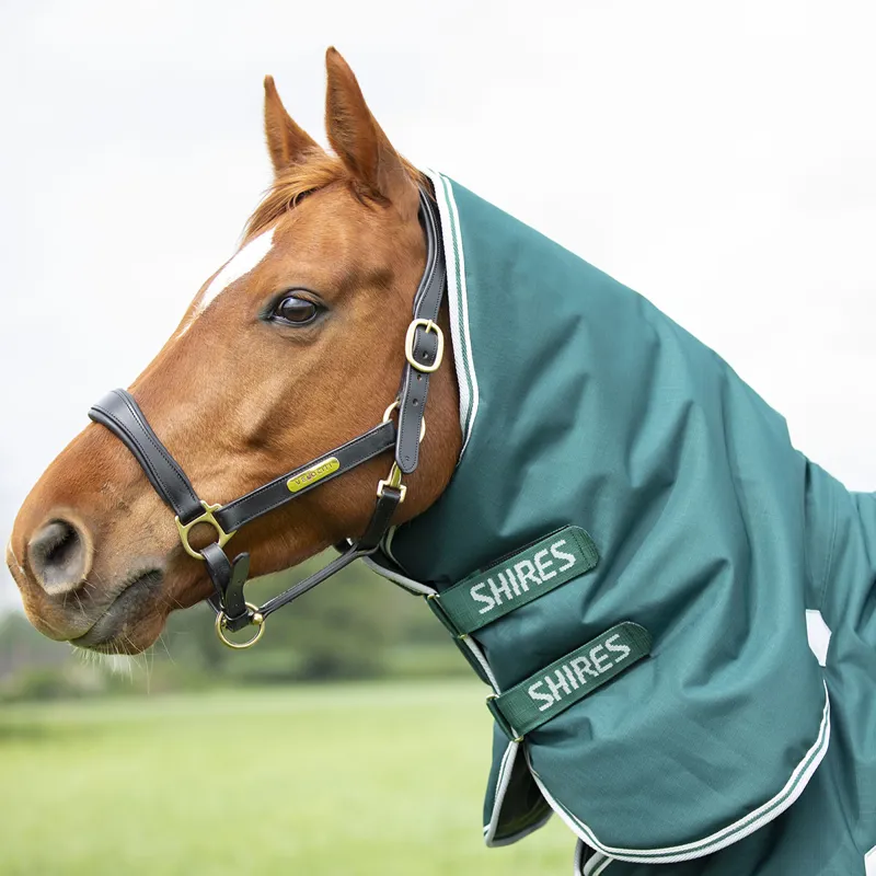 Shires Highlander Original 300g Combo Turnout Rug - Green-4