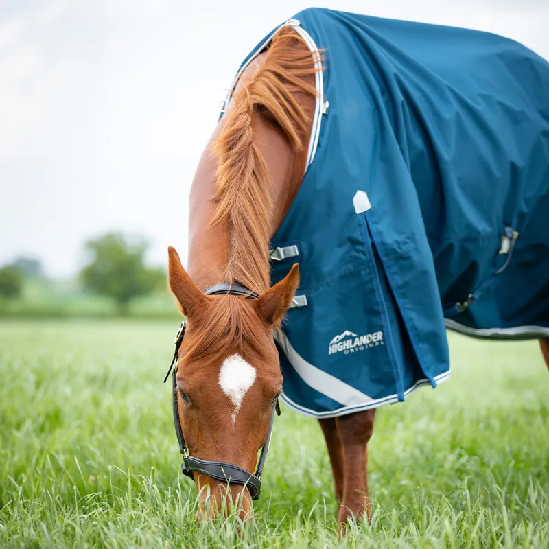 Shires Highlander Original 50g Standard Neck Turnout Rug - Ocean-1