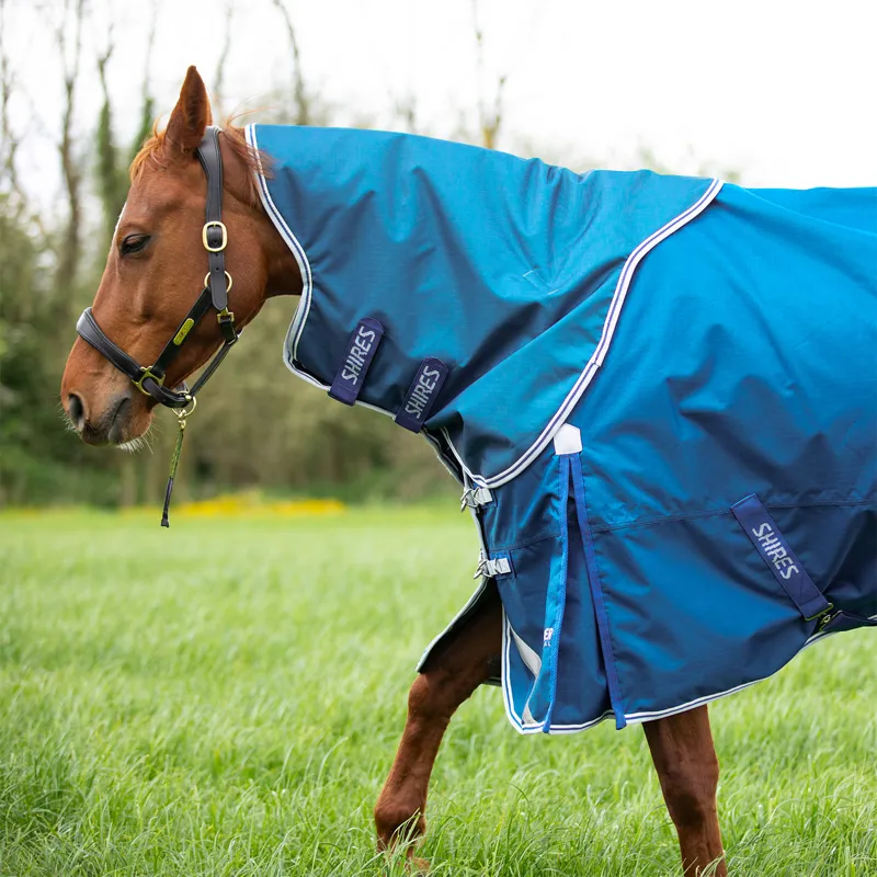 Shires Highlander Original 200g Detach-A-Neck Turnout Rug - Blue-4