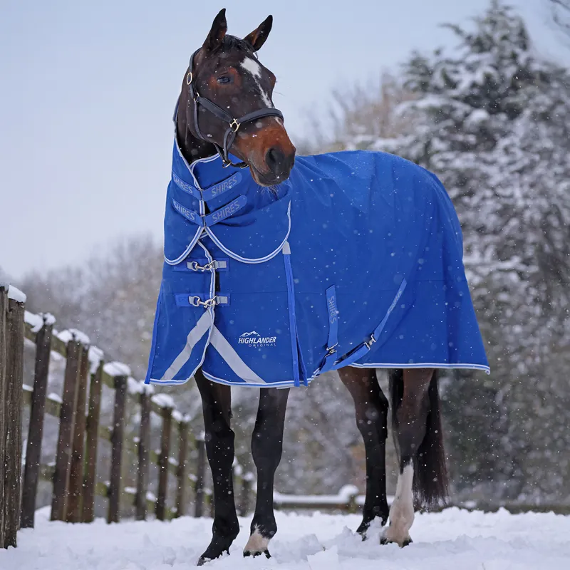 Shires Highlander Original 200g Detach-A-Neck Turnout Rug - Blue-6