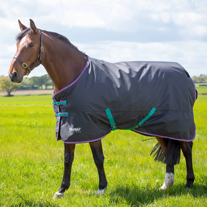 Shires Tempest Original 300g Standard Neck Turnout Rug - Black