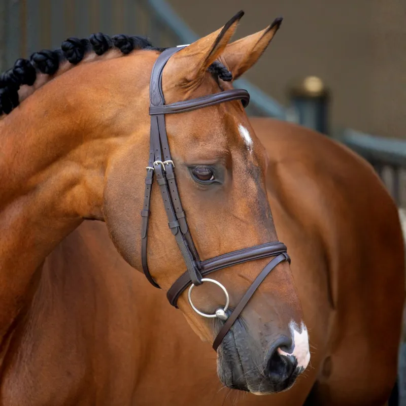 Velociti RAPIDA Padded Raised Flash Bridle with Reins - Black
