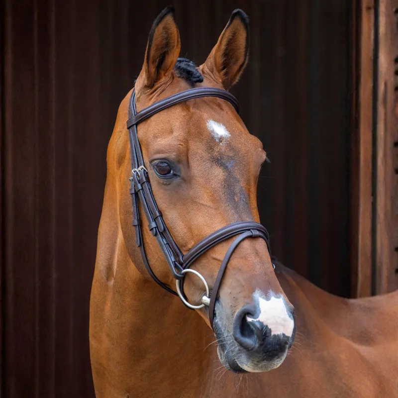 Velociti RAPIDA Padded Raised Flash Bridle with Reins - Havana