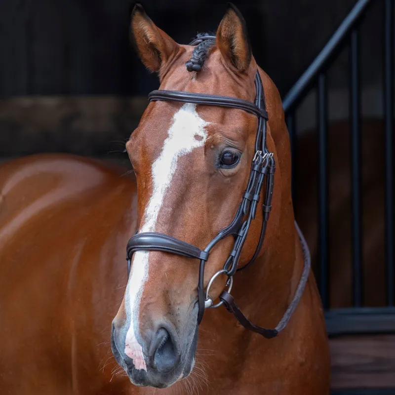 Velociti RAPIDA Rolled Padded Cavesson Bridle with Reins - Havana