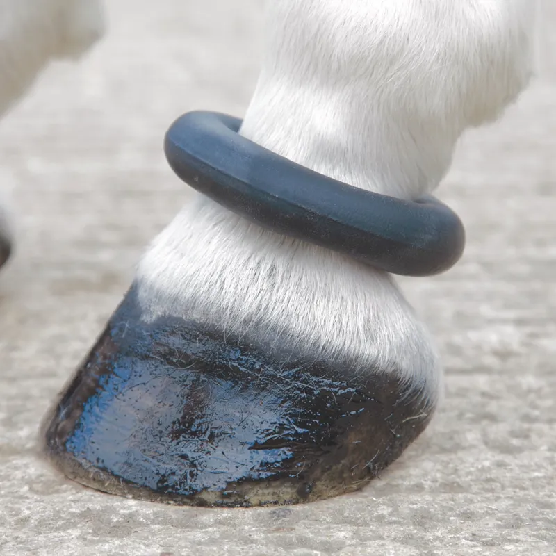 Shires Fetlock Ring Sausage Boot - Black