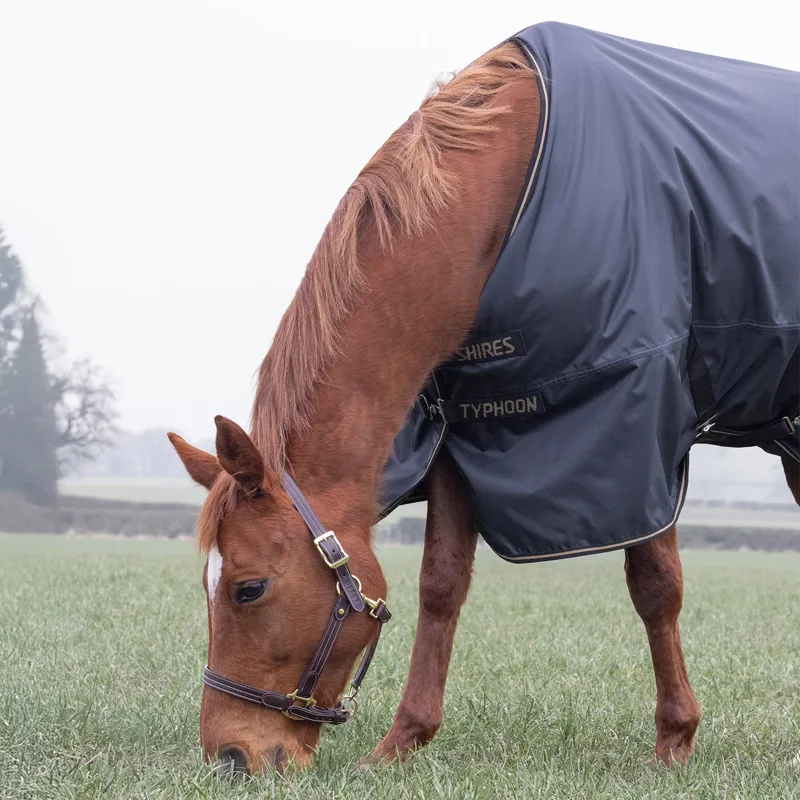 Shires Typhoon 50g Standard Neck Turnout Rug - Black-3