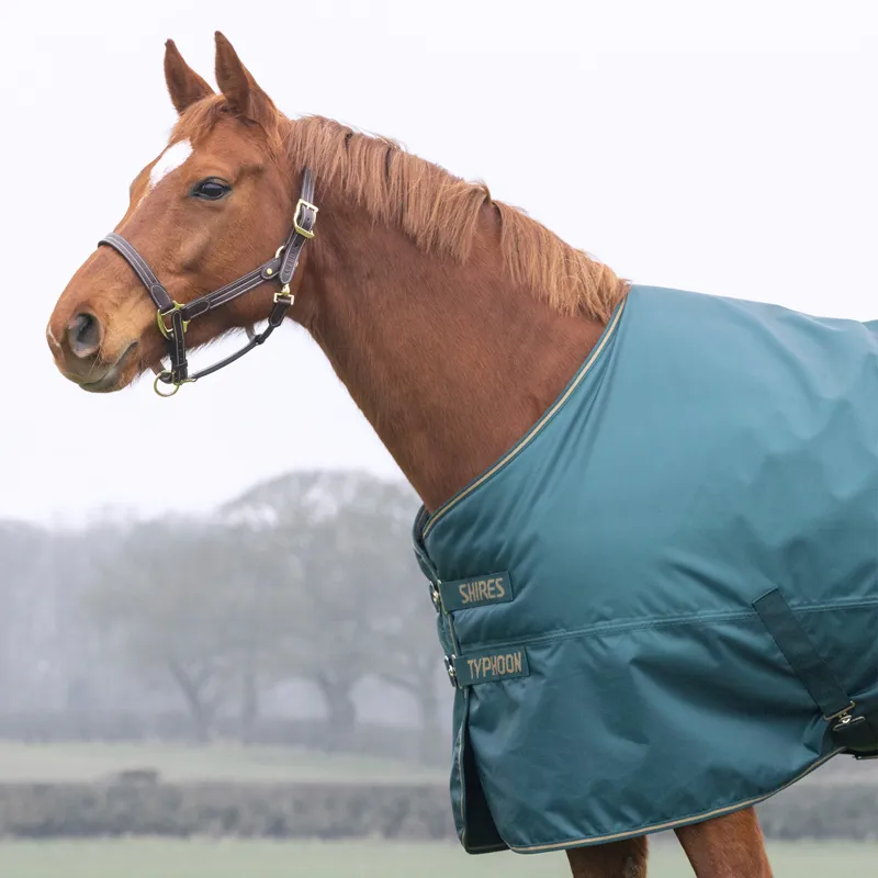 Shires Typhoon 200g Standard Neck Turnout Rug - Green-1