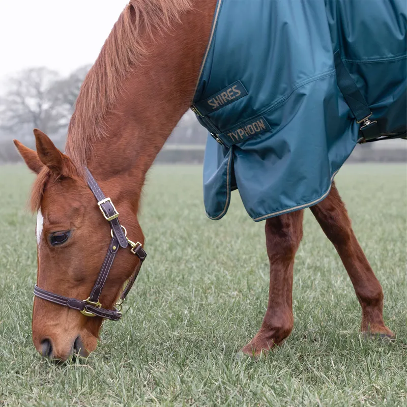 Shires Typhoon 200g Standard Neck Turnout Rug - Green-3