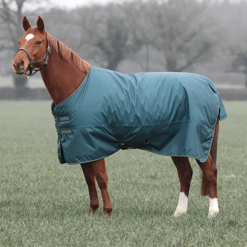 Shires Typhoon 200g Standard Neck Turnout Rug - Green-5