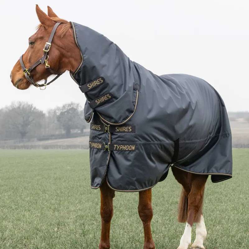 Shires Typhoon 50g Combo Neck Turnout Rug - Black-2