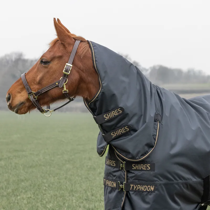 Shires Typhoon 50g Combo Neck Turnout Rug - Black-1