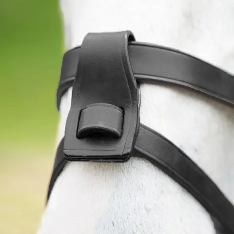 Premier Equine Rizzo Anatomic Flash Noseband Black/Brown - Build a Bridle Premier Equine Rizzo Anatomic Flash Noseband Black/Brown - Build a Bridle