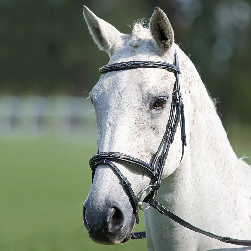 Shires Avignon Padded Raised Flash Bridle - Black