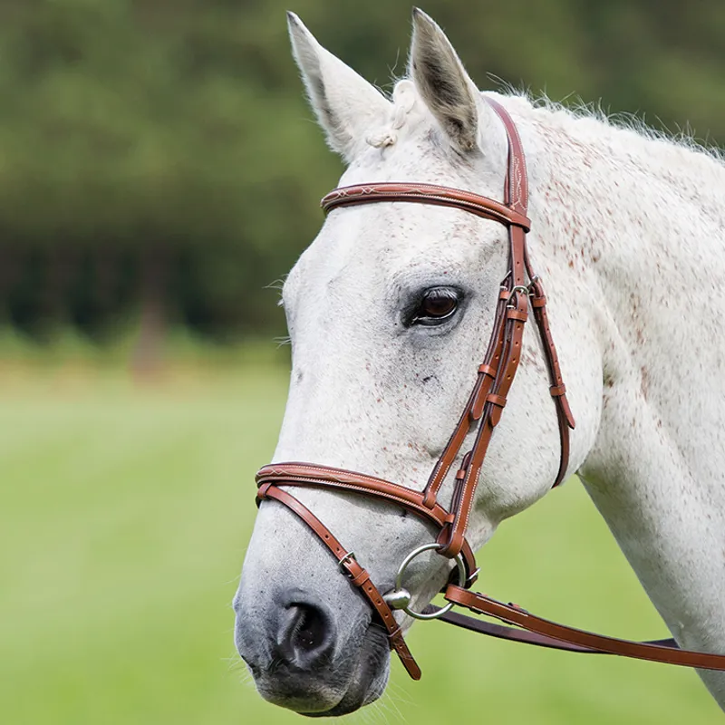 Shires Avignon Padded Raised Flash Bridle - Oak