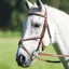 Shires Avignon Grackle Bridle - Oak