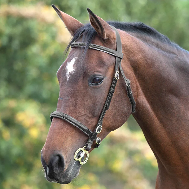 Velociti GARA Fancy Stitched In-Hand Bridle - Black