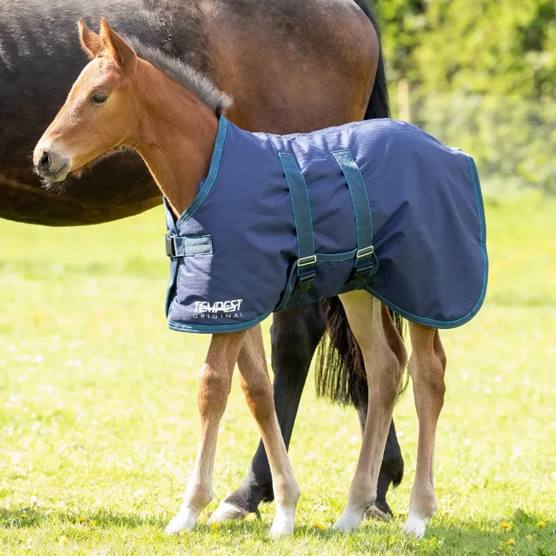 Shires Tempest Original 200 Foal Turnout Rug - Navy