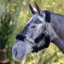 Shires Performance SupaFleece Headcollar Fleece Pieces - Black