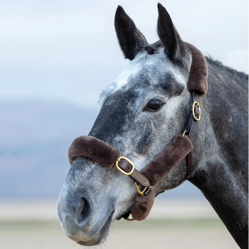 Shires Performance SupaFleece Headcollar Fleece Pieces - Brown