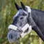 Shires Performance SupaFleece Headcollar Fleece Pieces - Natural