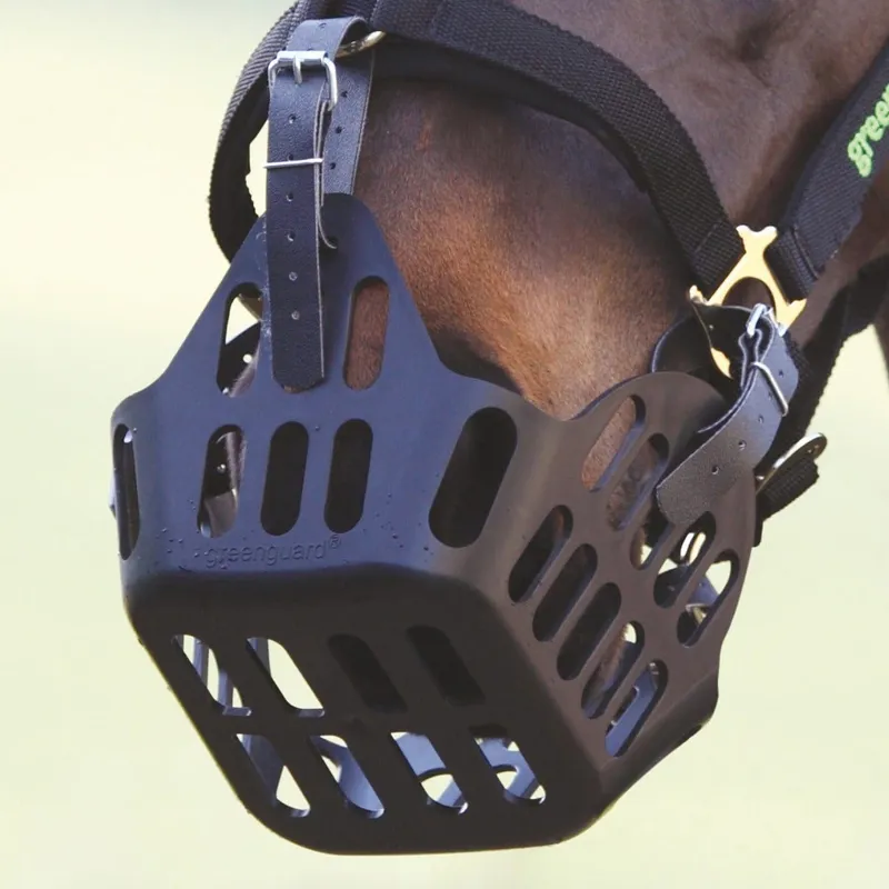 Greenguard muzzle store