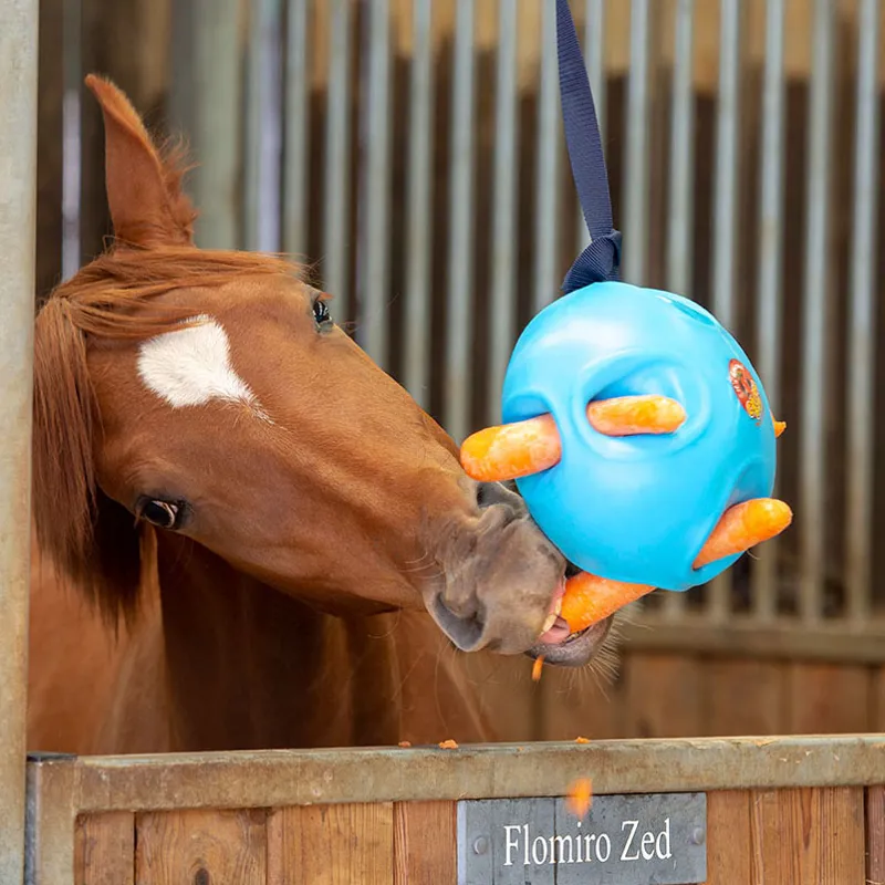 Its Horsome Carrot Ball - Blue-1