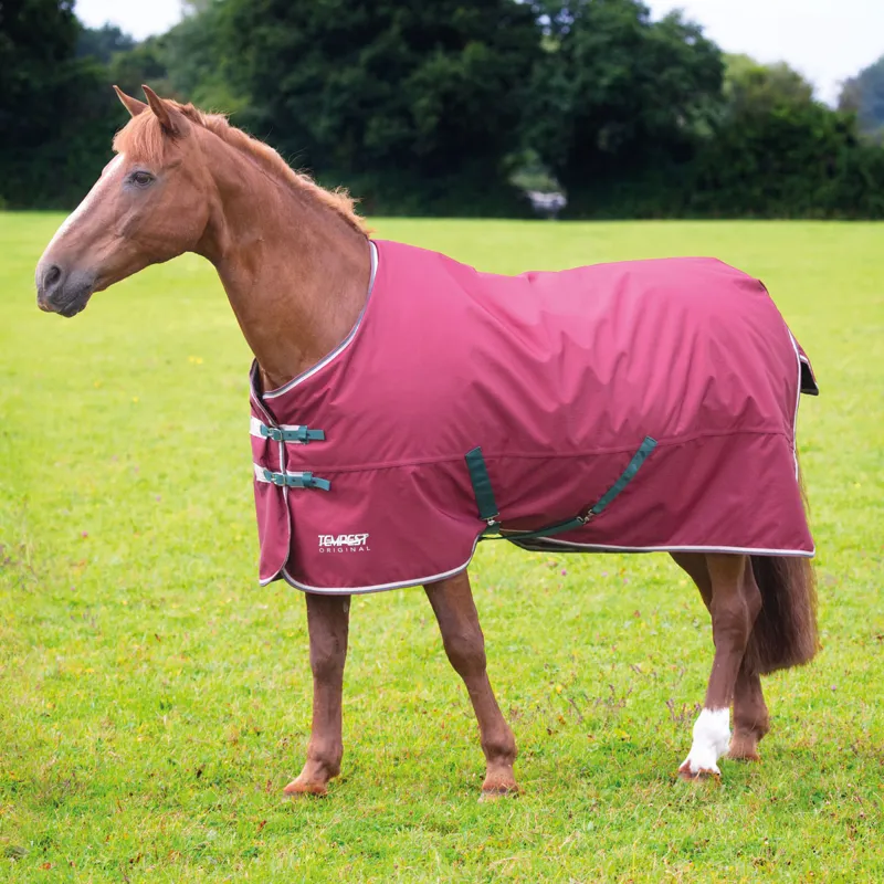 Shires Tempest Original 200 Standard Neck Turnout Rug - Maroon