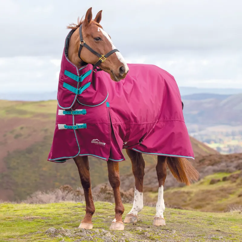 Shires Highlander Original 300g Combo Turnout Rug - Raspberry