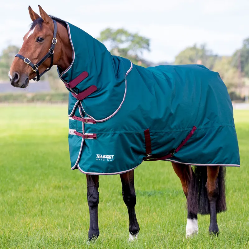 Shires Tempest Original 200g Detachable Neck Turnout Rug - Green