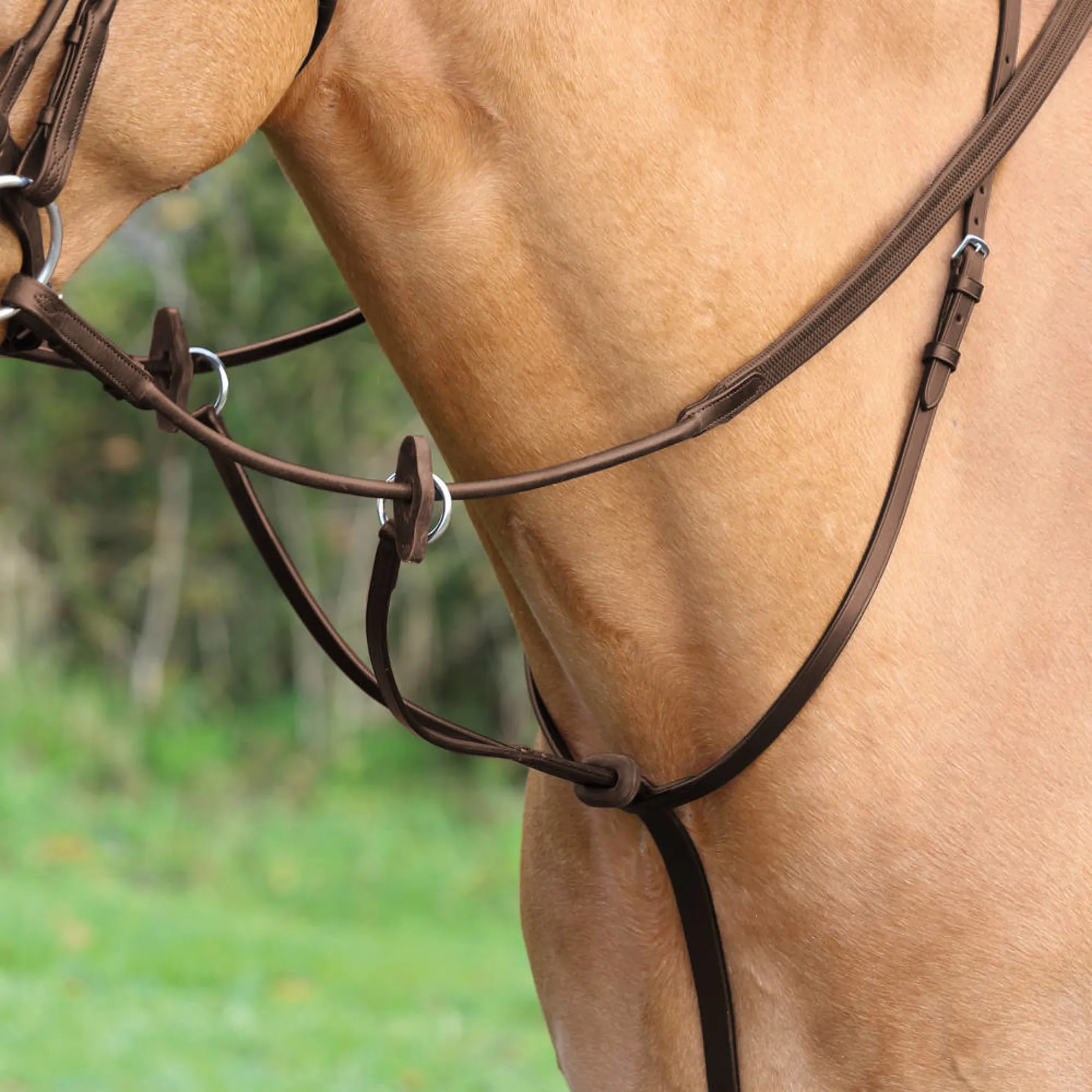 Shires Velociti GARA Plain In-hand Bridle – GS Equestrian Shires Velociti GARA Plain In-hand Bridle – GS Equestrian