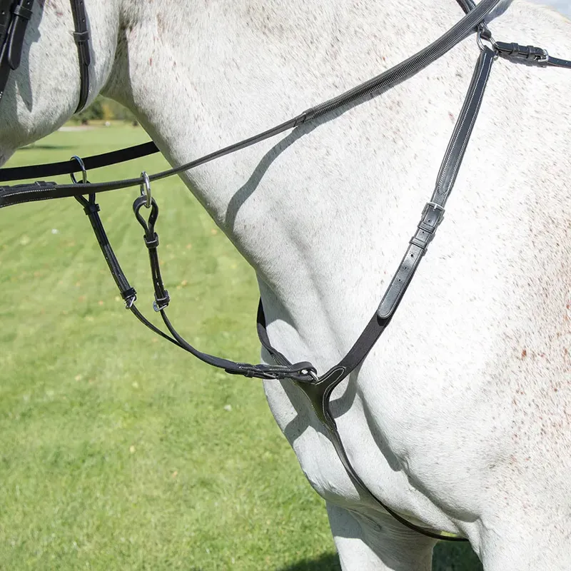 Shires Avignon Breastplate - Black